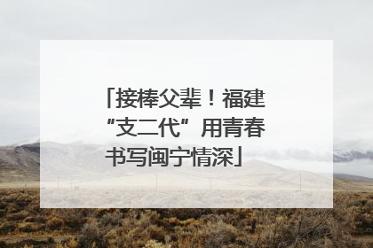 接棒父辈！福建“支二代”用青春书写闽宁情深
